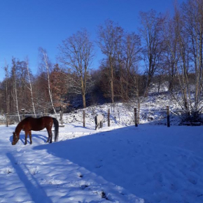 Le Gîte du Cheval Blanc Fraize